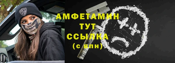 гидра Богданович