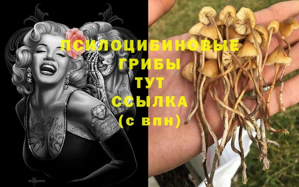 синтетический гашиш Богородицк