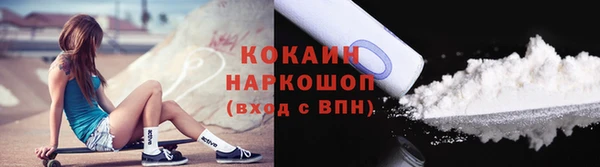 гидра Богданович