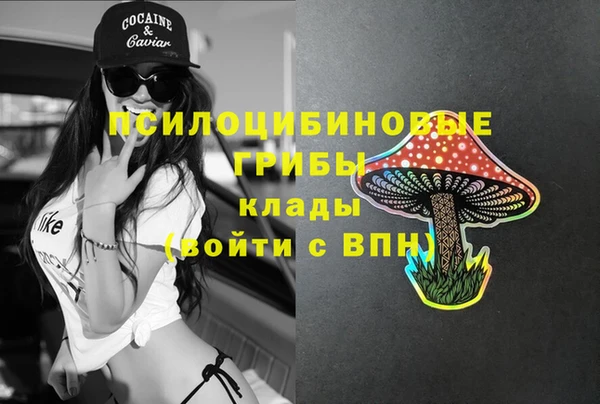 марихуана Белокуриха