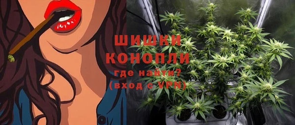 хмурый Богородск