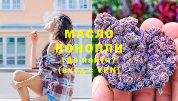 гидра Богданович