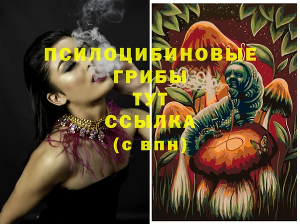 хмурый Богородск